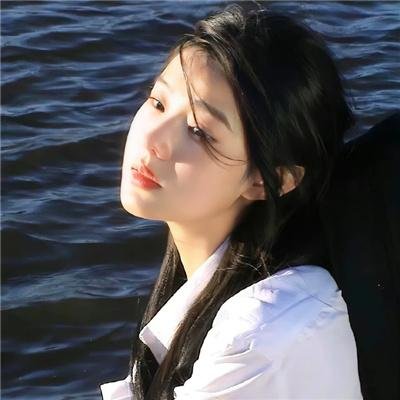 Double Face 伪装警察篇