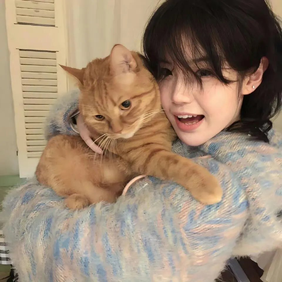 离婚战神：崛起